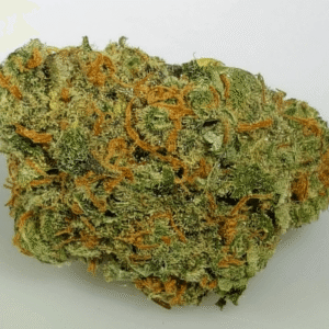 Chocolope Cannabis Strain