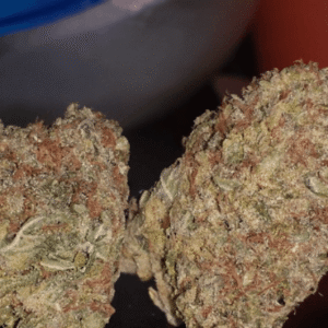 Super Silver Haze Marijuana Strain