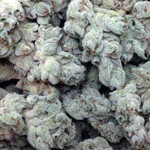 Copacabana Cannabis Strain
