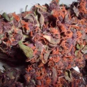 Red Haze Marijuana Strain