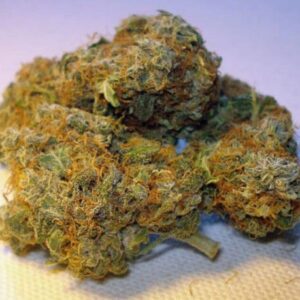 Swazi Gold Cannabis Strain