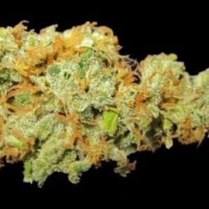 Hawaiian Sativa Marijuana Strain
