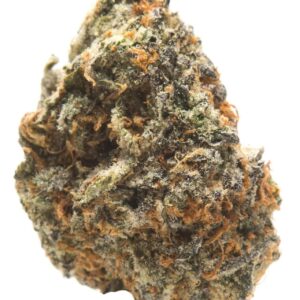 Elephant Stomper Marijuana Strain