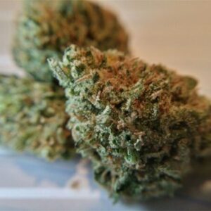 Black Widow Cannabis Strain