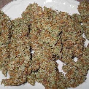 Berry Haze Marijuana Strain
