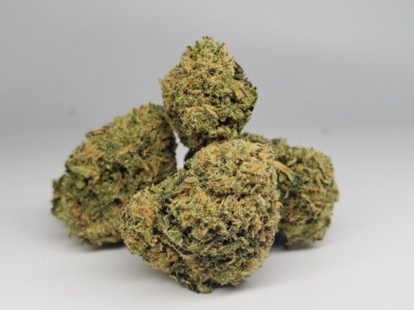 BC Kush Marijuana Strain