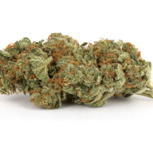 Sour Haze Marijuana Strain