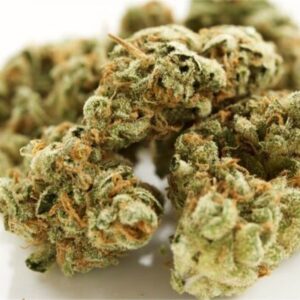 King's Bread Marijuana Strain