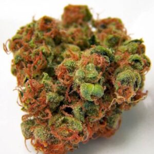 Panama Red Cannabis Strain