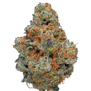 Buzz Light Gear Marijuana Strain
