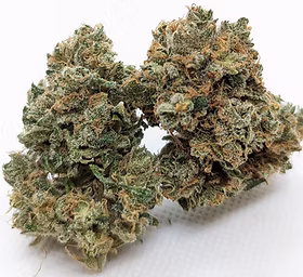 Tsunami Crush Cannabis Strain