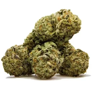 Green Beret Cannabis Strain
