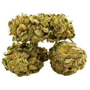 Western Winds Weed Strain