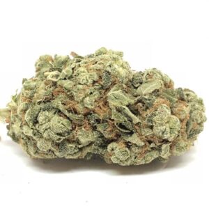  Canguro de Oaxaca Weed Strain