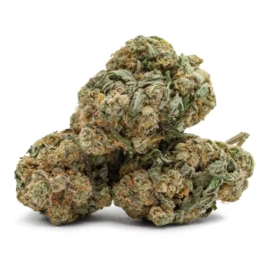 Columbian Gold Marijuana Strain