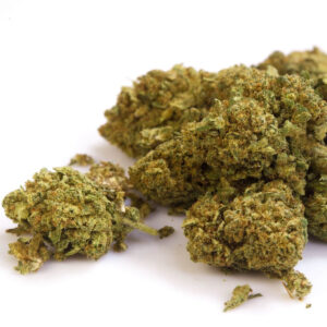 Jack Herer Cannabis Strain