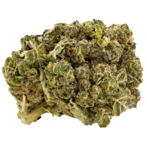 Nepalese Marijuana Strain