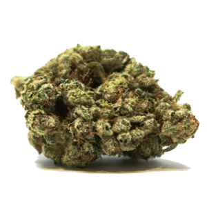 North American Sativa Strain