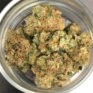 Hawaiian Snow Weed Strain
