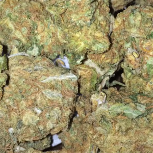 Banana Haze Cannabis Strain
