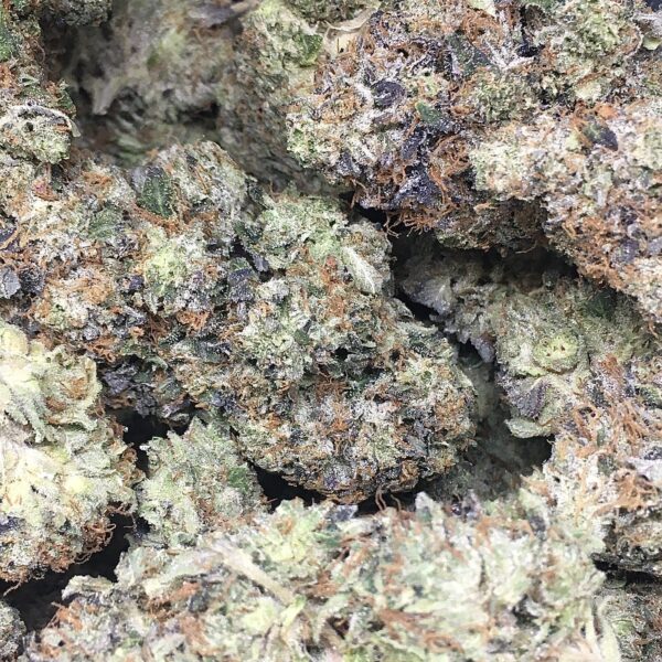 Destroyer Marijuana Strain