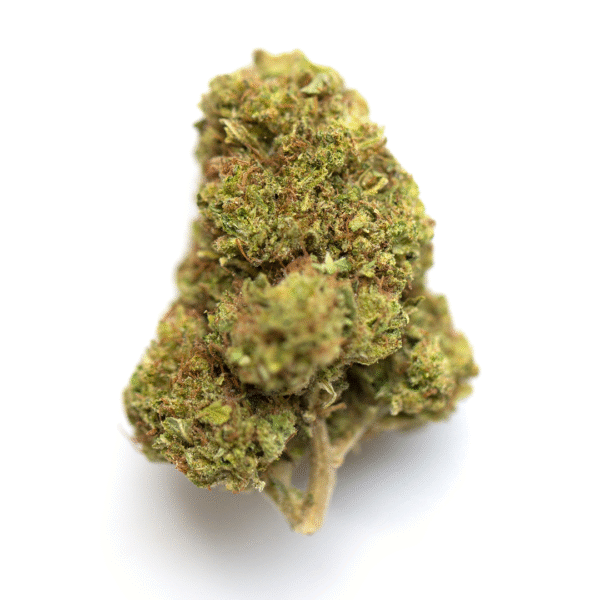 Nepalese Jam Cannabis Strain