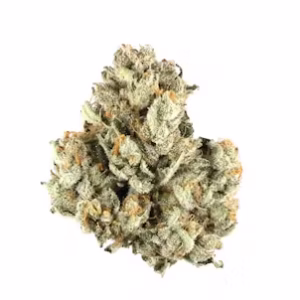 Magnum PI Cannabis Strain