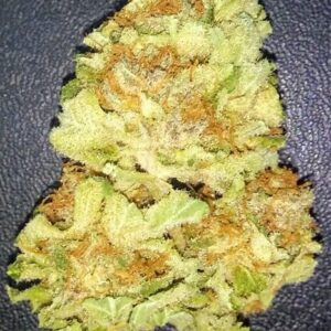 Trainwreck Weed Strain
