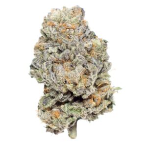 Purple Berry Cannabis Strain
