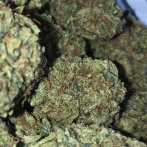 Sour Diesel Weed Strain