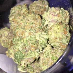 Chemo Marijuana Strain
