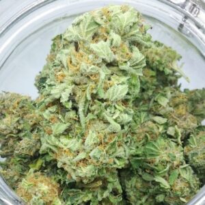 Alien Cookies Weed Strain