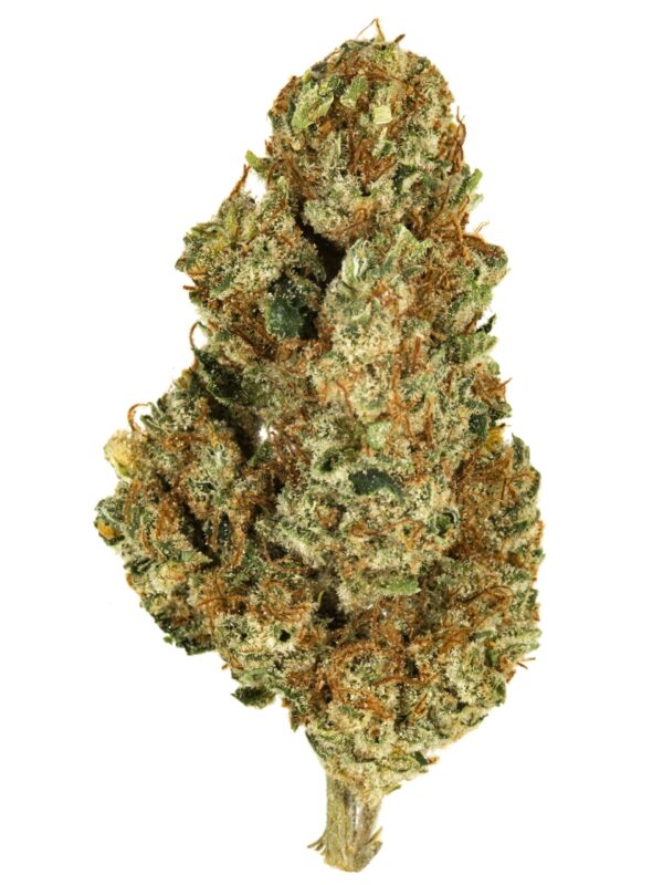 Skunk #1 Marijuana Strain