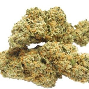B29 Marijuana Strain