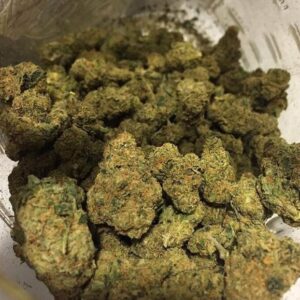 Baby Kay Cannabis Strain