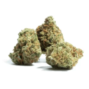 Future Cannabis Strain