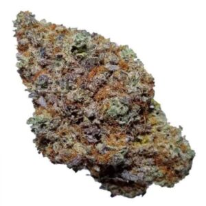 Blackberry Kush Marijuana Strain
