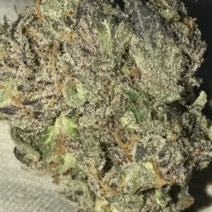 Magnificent Mile Marijuana Strain