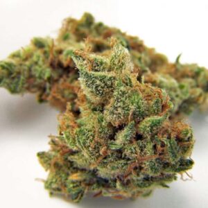 Northern Lights Cannabis Strain