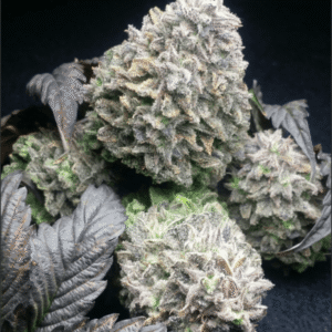 Dr. Feel Good Marijuana Strain