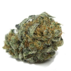 William’s Wonder Marijuana Strain