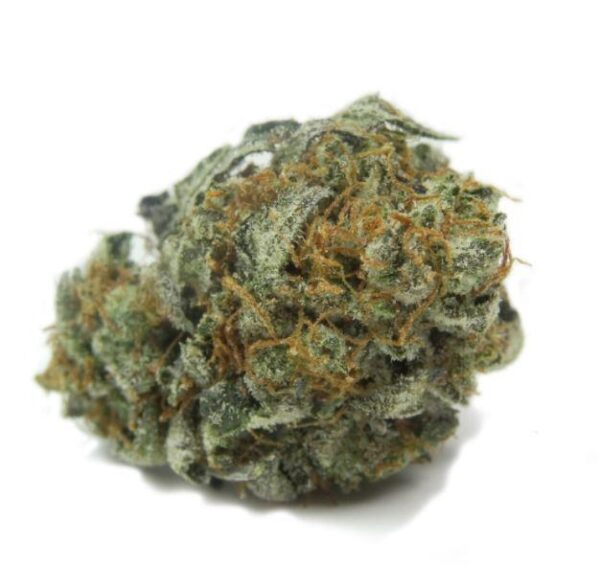William’s Wonder Marijuana Strain