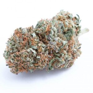Purple Kush Marijuana Strain