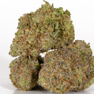 Afghani CBD Marijuana Strain