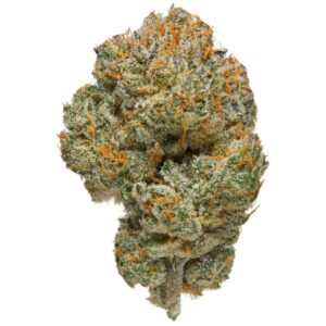 Critical Sensi Star Strain