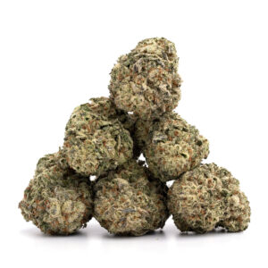 Dairy Queen Marijuana Strain 
