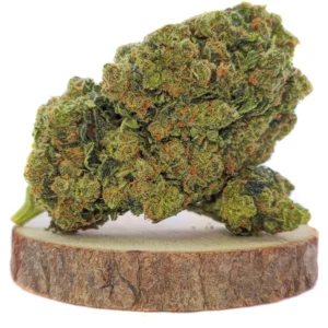 Alien Kush Marijuana Strain