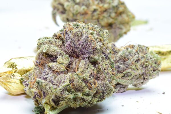Hindu Kush Cannabis Strain