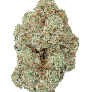 Gorilla Glue #4 Weed Strain