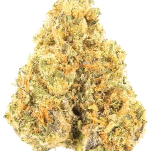 Buy JT15 Cannabis Strain
